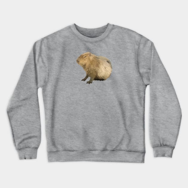 Cute capybara Crewneck Sweatshirt by ballooonfish